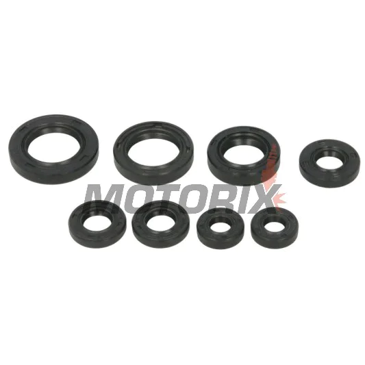 Sada gufer motoru -WINDEROSA- Honda TRX 200 1990-1997