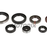 Sada gufer motoru -ATHENA- Husqvarna TC 250 2017-2022, TE 250 2014/2017-2018/2020-2022, TE 300 2017-2023, TX 300 2017-2023, KTM EXC 250/300 2017-2023, SX 300 1993, SX 250 2017-2023, XC 250/300 2017-2023