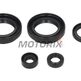 Sada gufer motoru -WINDEROSA- Suzuki LT-F 400 2002-2012