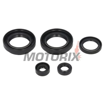 Sada gufer motoru -WINDEROSA- Suzuki LT-F 400 2002-2012