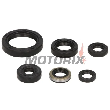 Sada gufer motoru -WINDEROSA- Kawasaki KLX 250 1994-1996, 2006-2014, Kawasaki KLX 300 1997-2010, 2020-2024