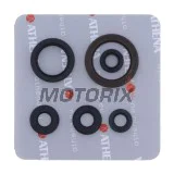 Sada gufer motoru -ATHENA- Husqvarna FE 250/350 2020-2023, KTM EXC-F 250/350 2020-2023