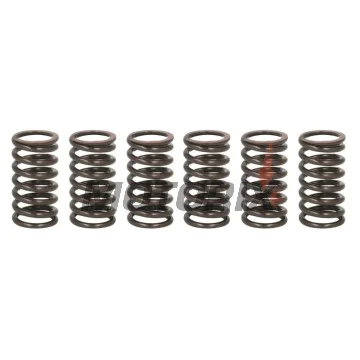 Sada pružin spojky -TRW- MEF317-6, Ducati 748/749/999, Monster 800/1000 S2R/S4R/S4RS, Multistrada 1000DS, ST2/ST3/ST4, Sportclassic 1000GT 1997-2010