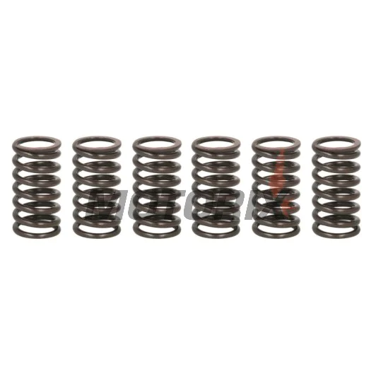Sada pružin spojky -TRW- MEF317-6, Ducati 748/749/999, Monster 800/1000 S2R/S4R/S4RS, Multistrada 1000DS, ST2/ST3/ST4, Sportclassic 1000GT 1997-2010