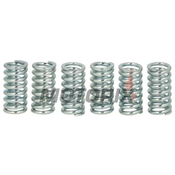 Sada pružin spojky -TRW- MEF134-6, Kawasaki KLX125; Sachs X-Road/XTC 125; Suzuki DR125/200/350, DR-Z125, Bandit 400, GSX-R400, RM125/250, VanVan 125, TSR200
