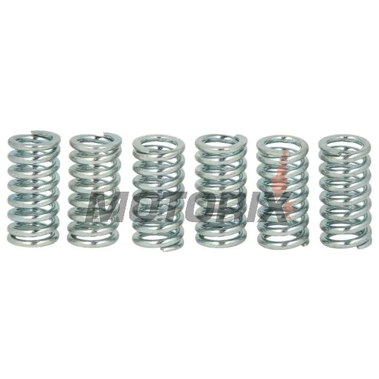 Sada pružin spojky -TRW- MEF134-6, Kawasaki KLX125; Sachs X-Road/XTC 125; Suzuki DR125/200/350, DR-Z125, Bandit 400, GSX-R400, RM125/250, VanVan 125, TSR200