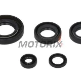 Sada gufer motoru -WINDEROSA- Kawasaki KFX 50 2003-2006, Suzuki LT-A 50 2002-2005