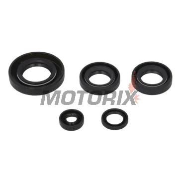 Sada gufer motoru -WINDEROSA- Kawasaki KFX 50 2003-2006, Suzuki LT-A 50 2002-2005