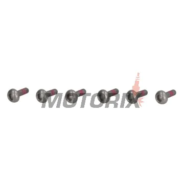 Šrouby brzdového kotouče -TRW- MSS120-6, M6x1.00 - 23mm, 6ks
