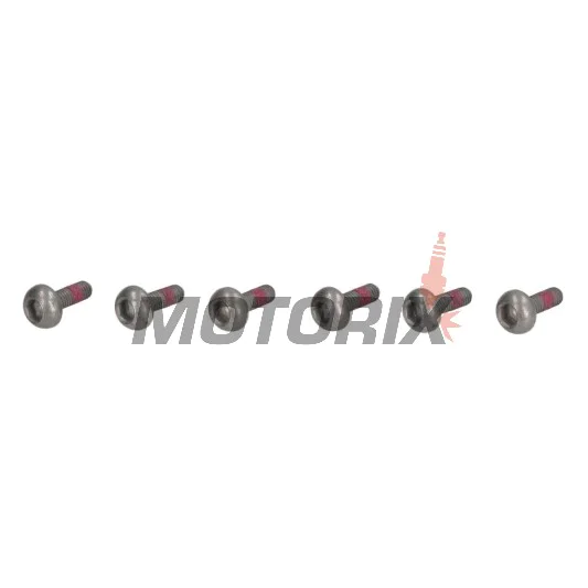 Šrouby brzdového kotouče -TRW- MSS120-6, M6x1.00 - 23mm, 6ks