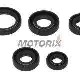 Sada gufer motoru -WINDEROSA- Kawasaki KLF 300 1986-2005, Kawasaki KLF 400 1997