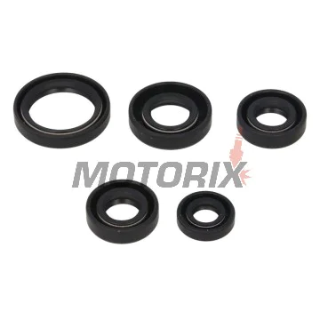 Sada gufer motoru -WINDEROSA- Kawasaki KLF 300 1986-2005, Kawasaki KLF 400 1997