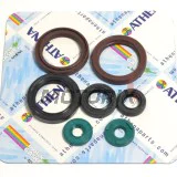 Sada gufer motoru -ATHENA- KTM EXC 400/450/530 2009-2011, EXC-F 450 2009-2011, XC-W 400 2008-2011, XC-W 530 2009-2011