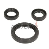 Opravná sada diferenciálu -ALL BALLS- Yamaha YFM 350 2007-2011, YFM 400 2007-2012, YFM 450 2003-2014, YFM 550 2009-2014, YFM 660 2002-2008, YFM 700 2007-2016, YFM 850 2012