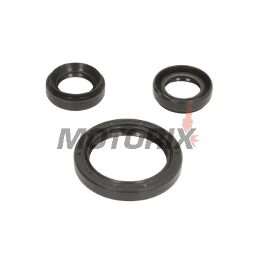 Opravná sada diferenciálu -ALL BALLS- Yamaha YFM 350 2007-2011, YFM 400 2007-2012, YFM 450 2003-2014, YFM 550 2009-2014, YFM 660 2002-2008, YFM 700 2007-2016, YFM 850 2012