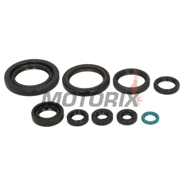 Sada gufer motoru -ATHENA- Honda FOREMAN 450 2006-2013, TRX 450 2006-2014