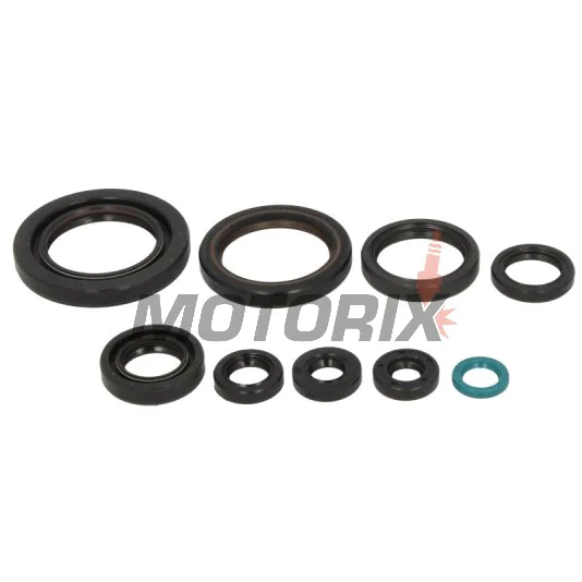 Sada gufer motoru -ATHENA- Honda FOREMAN 450 2006-2013, TRX 450 2006-2014