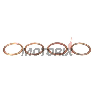 Těsnění výfuku -WINDEROSA- W823015