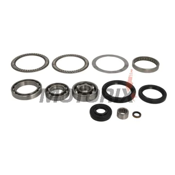 Opravná sada diferenciálu -ALL BALLS- Kawasaki KVF 360 2003, 2006-2010, 2012-2013, KVF 650 2002-2003, 2005-2013, KVF 700 2004-2006, KVF 750 2005-2014, Suzuki LT-V 700 2004-2006