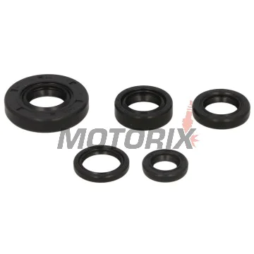 Sada gufer motoru -WINDEROSA- KTM SX 50 2001-2008