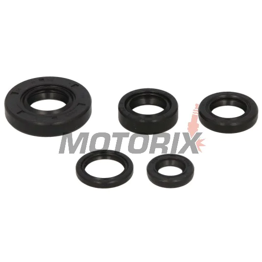 Sada gufer motoru -WINDEROSA- KTM SX 50 2001-2008