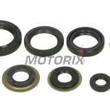 Sada gufer motoru -WINDEROSA- Yamaha YFB 250 1994-2000