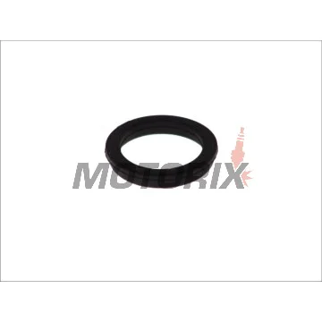 Těsnění svíčky -ATHENA- S410510015020, Cagiva Navigator/Raptor/V-Raptor 1000 2000-2003, Suzuki DL/GSX-R/RF/TL 600-1100 1992-2020