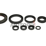 Sada gufer motoru -WINDEROSA- Honda TRX 450 2006-2014