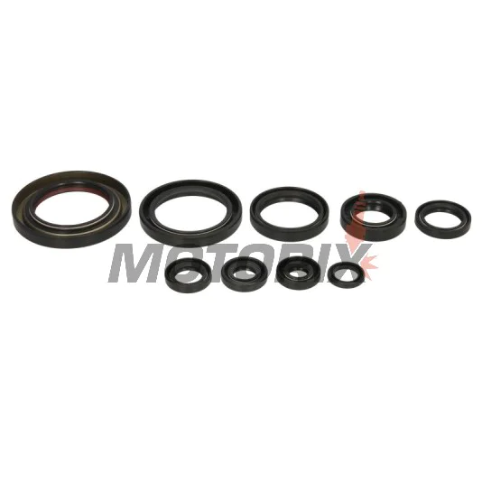 Sada gufer motoru -WINDEROSA- Honda TRX 450 2006-2014