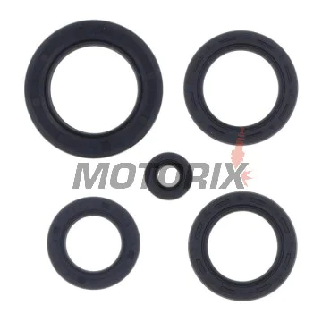 Kompletní sada gufer motoru -ATHENA- Honda FES 125 1998-2002, FES 150 1998-2001