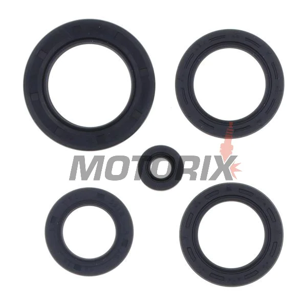 Kompletní sada gufer motoru -ATHENA- Honda FES 125 1998-2002, FES 150 1998-2001