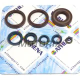 Kompletní sada gufer motoru -ATHENA- Husqvarna CR 250 1999-2004, WR 250 1999-2014, WR 300 2009-2014