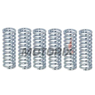 Sada pružin spojky -FERODO- FSS0313, Suzuki GSX-R 1000 2005-2007, SV 650 1999-2002