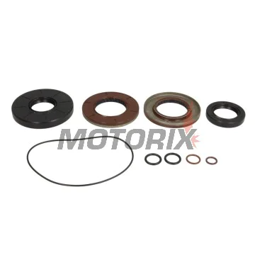 Opravná sada diferenciálu -ALL BALLS- Polaris RZR 1000 2016-2022, RZR 900 2018-2021