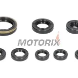 Sada gufer motoru -WINDEROSA- Yamaha WR 250 2001-2013, Yamaha YZ 250 2001-2013