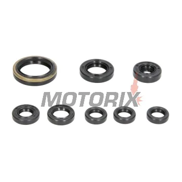 Sada gufer motoru -WINDEROSA- Yamaha WR 250 2001-2013, Yamaha YZ 250 2001-2013