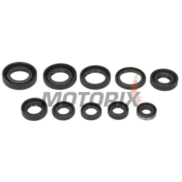 Sada gufer motoru -WINDEROSA- Honda ATC 200 1981-1987