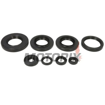 Sada gufer motoru -WINDEROSA- Yamaha YFM 550 2009-2014