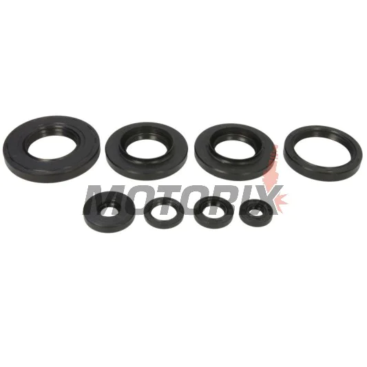 Sada gufer motoru -WINDEROSA- Yamaha YFM 550 2009-2014