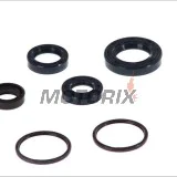 Kompletní sada gufer motoru -ATHENA- Peugeot Buxy 50 1994-1998, Elystar 50 2003-2005, Jet Force 50 2003, Looxor 50 2001-2003, Ludix 50 2004-2006, Metalx50 2002, Speedake 50 1994-1997, Speedfight 50 1997-2000