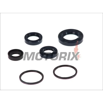 Kompletní sada gufer motoru -ATHENA- Peugeot Buxy 50 1994-1998, Elystar 50 2003-2005, Jet Force 50 2003, Looxor 50 2001-2003, Ludix 50 2004-2006, Metalx50 2002, Speedake 50 1994-1997, Speedfight 50 1997-2000