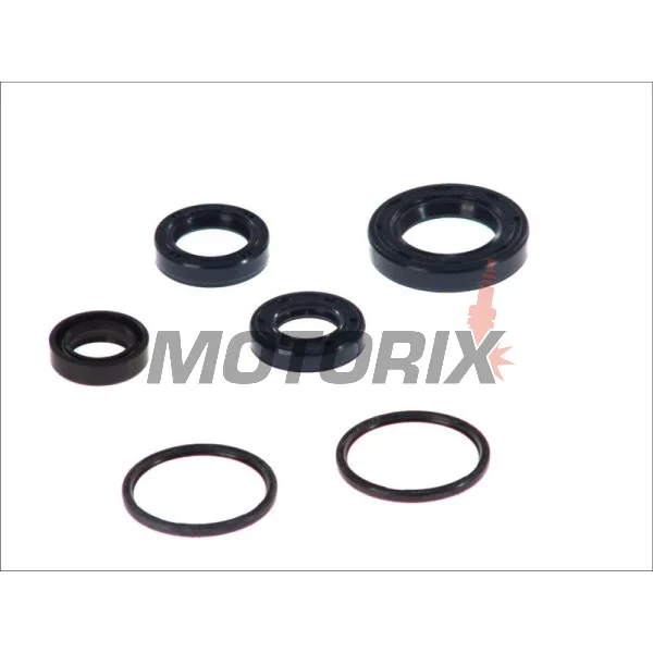 Kompletní sada gufer motoru -ATHENA- Peugeot Buxy 50 1994-1998, Elystar 50 2003-2005, Jet Force 50 2003, Looxor 50 2001-2003, Ludix 50 2004-2006, Metalx50 2002, Speedake 50 1994-1997, Speedfight 50 1997-2000