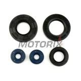 Kompletní sada gufer motoru -ATHENA- Aprilia Leonardo 125/150 1996-2004, Scarabeo 125 1999-2004, Scarabeo 150 1999-2002, Scarabeo 200 1999-2003
