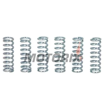 Sada pružin spojky -TRW- MEF137-6, Yamaha FZR/FZS/GTS/YZF 1000, MT-07/XSR/Tracer 700, TDM 900, WR/YZ 450, YFM Raptor 700 (1989-2020)