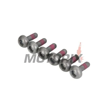 Šrouby brzdového kotouče -TRW- MSS120-6, M6x1.00 - 23mm, 6ks