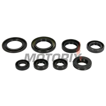 Sada gufer motoru -ATHENA- Yamaha SRX 600 1983-1988, TT 600 1998-2002, XT 600 1990-1995