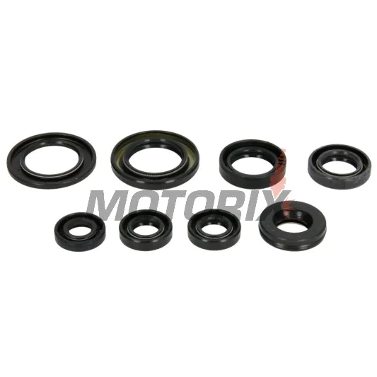 Sada gufer motoru -ATHENA- Yamaha SRX 600 1983-1988, TT 600 1998-2002, XT 600 1990-1995