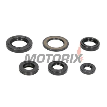 Sada gufer motoru -WINDEROSA- Yamaha TT 600 1983-1986, Yamaha XT 600 1984-1995