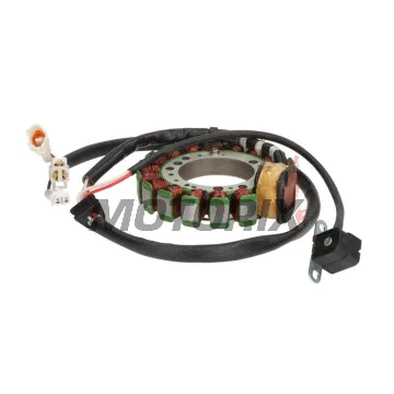 Stator (hvězda) -DZE- 16 cívek, YAMAHA YFM 350/400 1993-2001