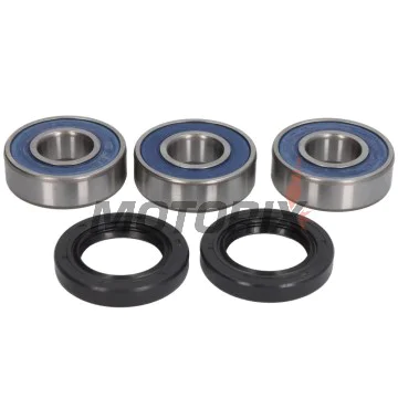Sada ložisek kola -ALL BALLS- BMW F 650 2009-2013, F 800 2008-2016